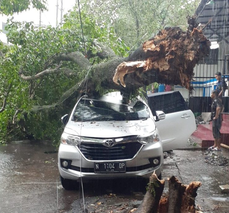 Mobil tertimpa pohon tumbang di kawasan Pasar Tawangmangu Kota Malang