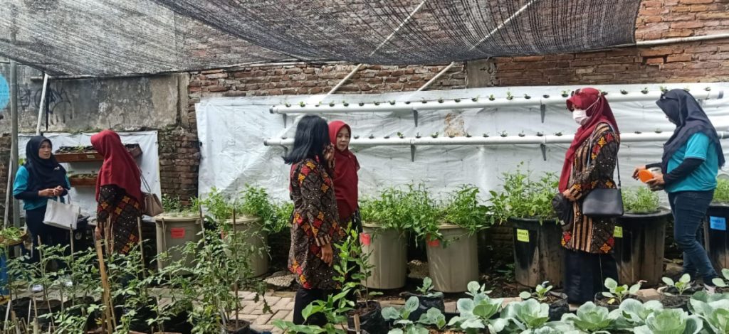 Penjurian Lomba Urban Farming Kota Malang