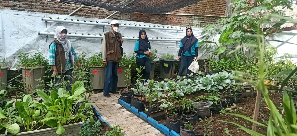 Penjurian Lomba Urban Farming Kota Malang